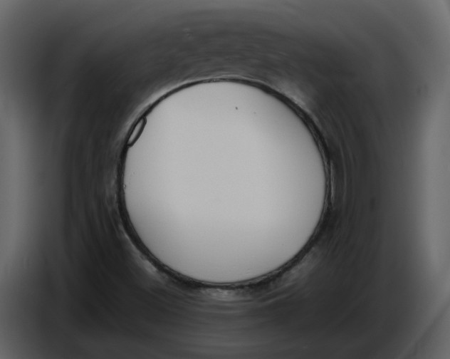 X0000086911500200705071253