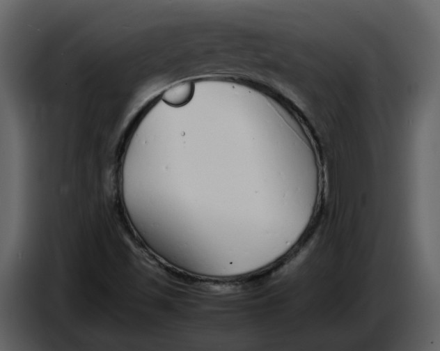 X0000086911501200705071253