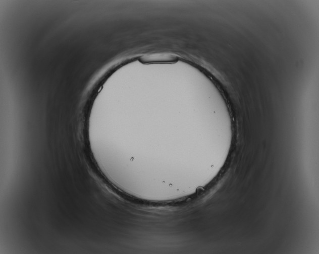 X0000086911502200705071253