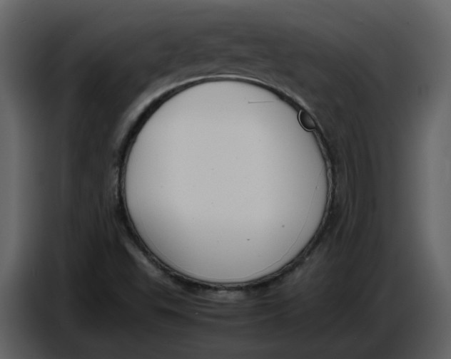 X0000086911503200705071253