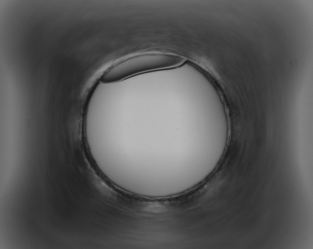 X0000086911504200705071253