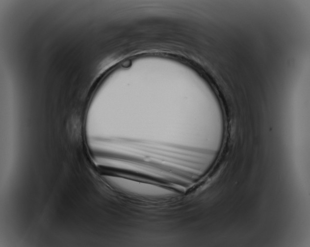 X0000086911505200705071253