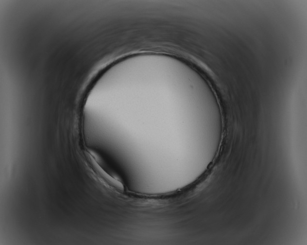 X0000086911506200705071253