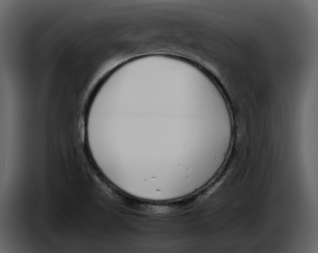 X0000086911509200705071253