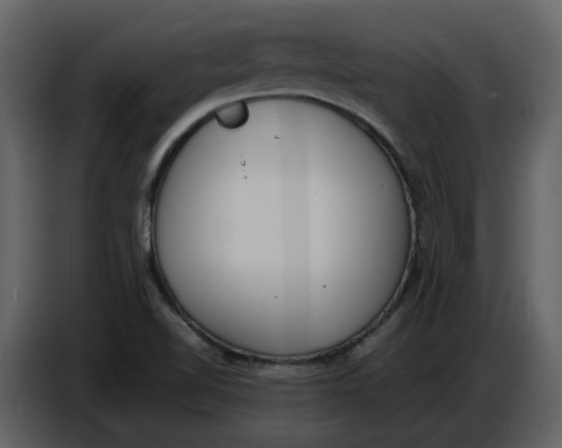 X0000086911510200705071253