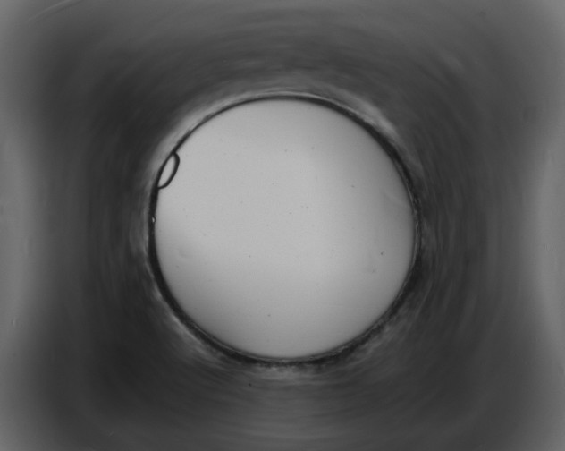 X0000086911512200705071253