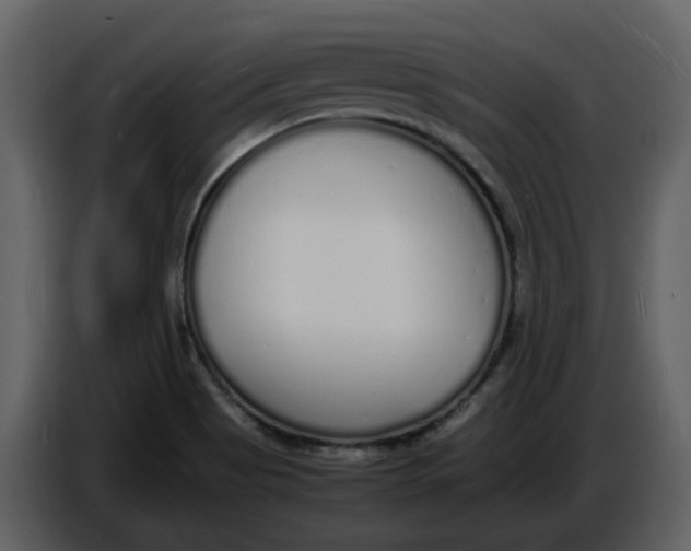 X0000086911513200705071253