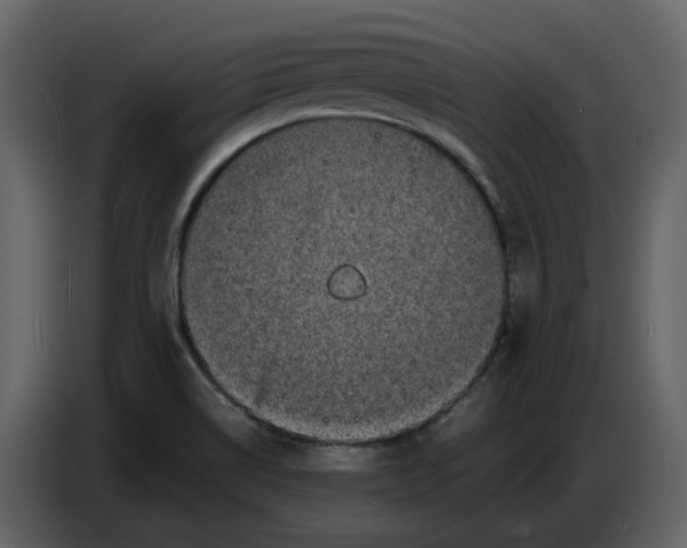 X0000086911514200705071253