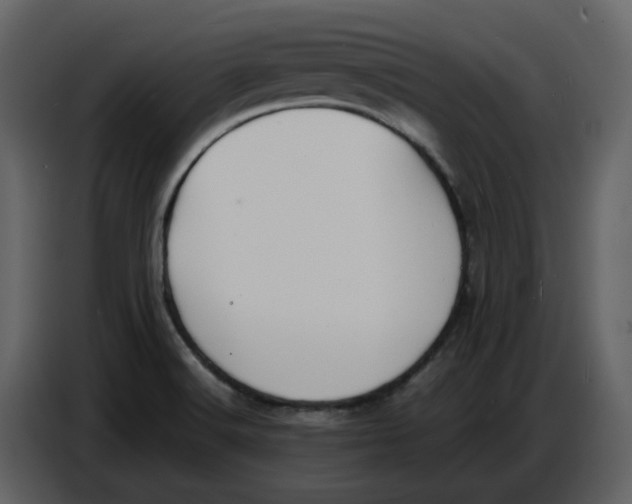 X0000086911516200705071253