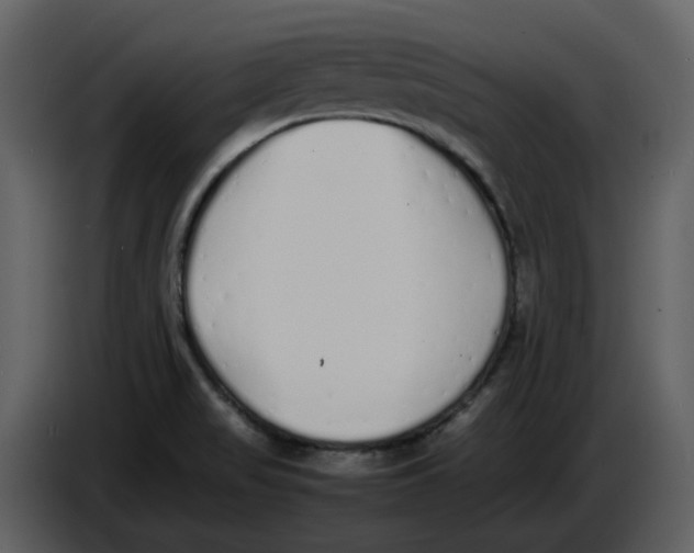 X0000086911517200705071253