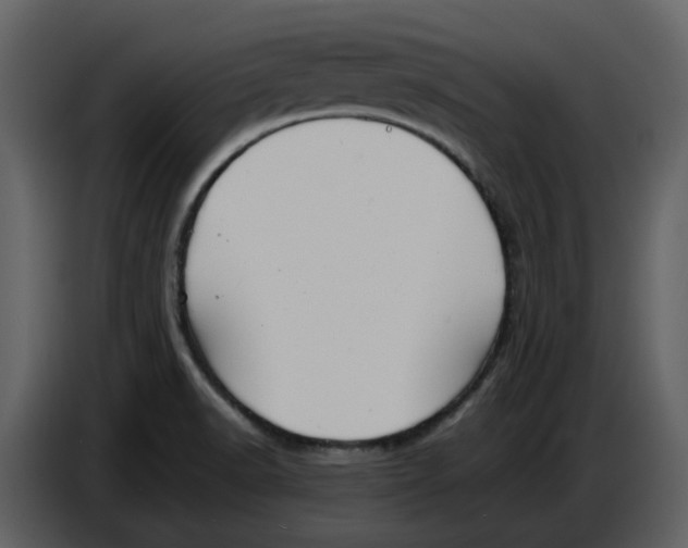 X0000086911518200705071253