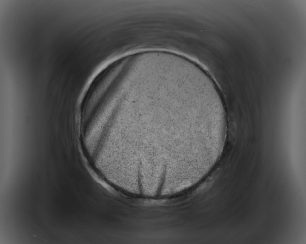 X0000086911519200705071253