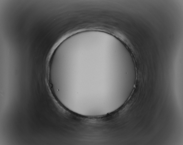 X0000086911520200705071253