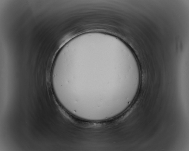 X0000086911521200705071253