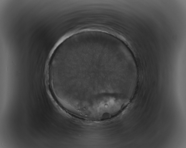 X0000086911522200705071253