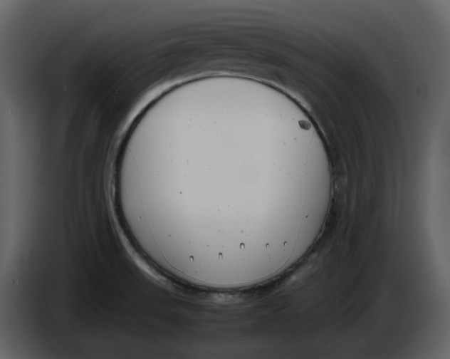 X0000086911523200705071253