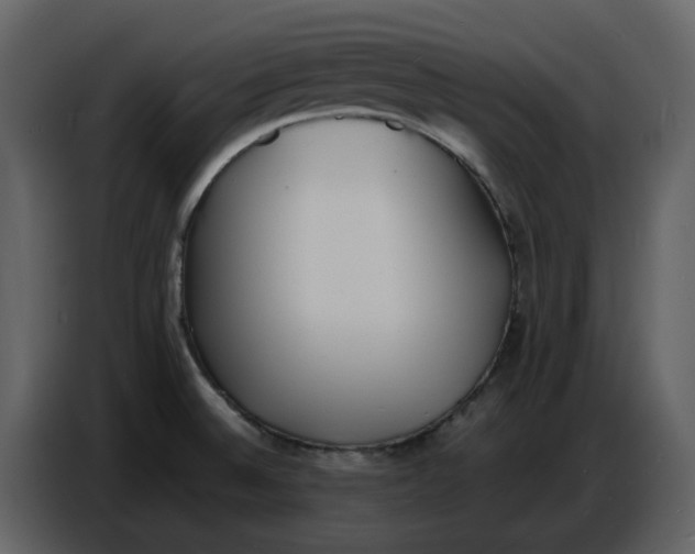 X0000086911524200705071253