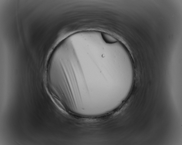 X0000086911525200705071253