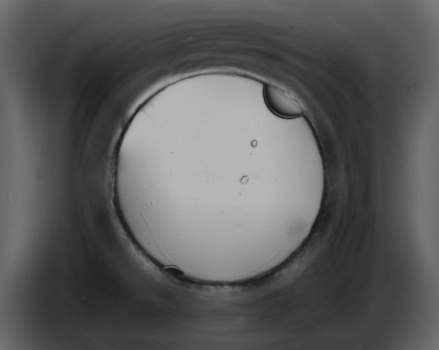 X0000086911526200705071253