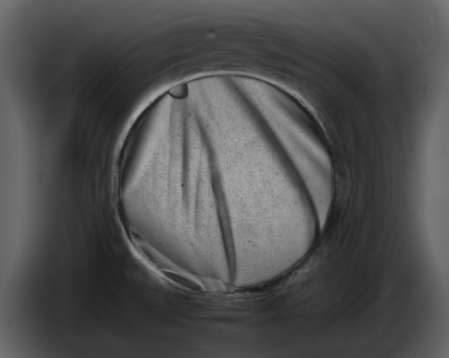 X0000086911527200705071253