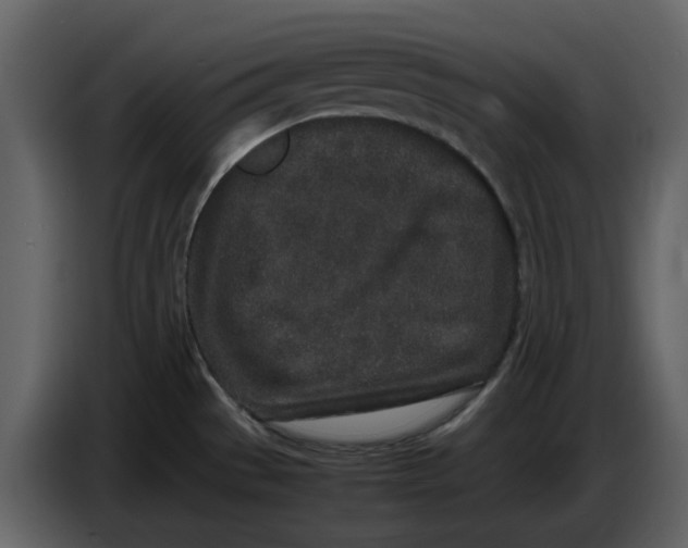 X0000086911529200705071253