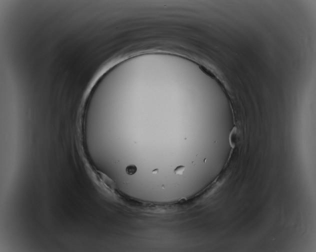 X0000086911530200705071253