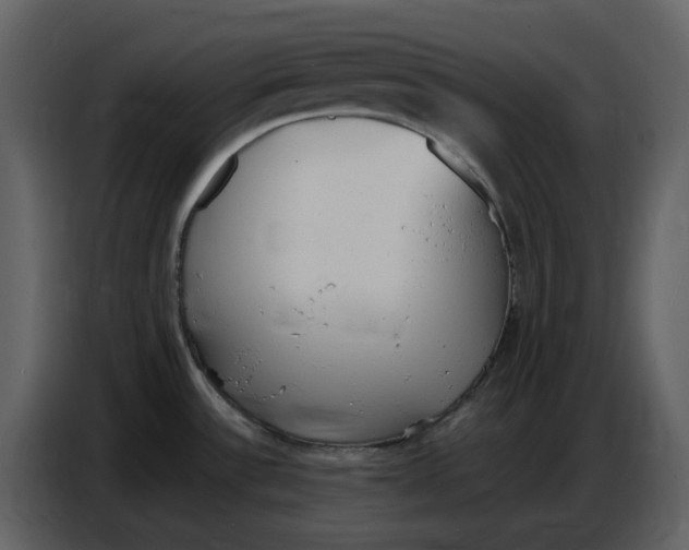 X0000086911532200705071253