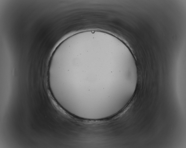 X0000086911534200705071253