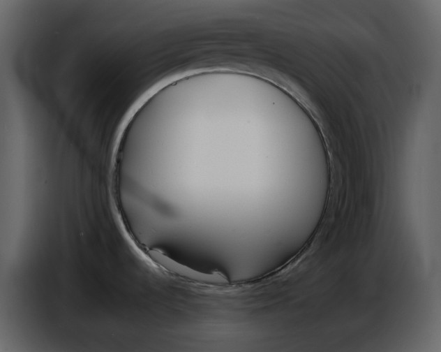 X0000086911536200705071253