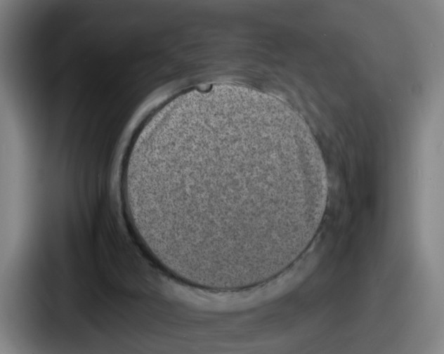 X0000086910006200705141711