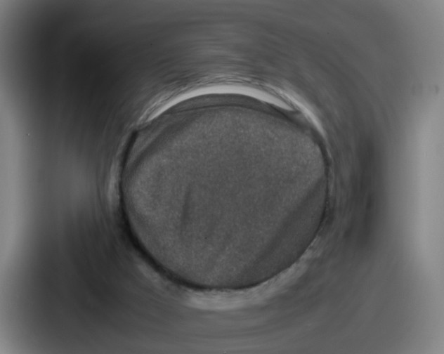 X0000086910009200705141711