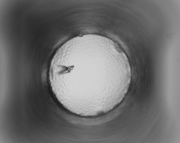 X0000086910010200705141711