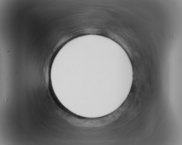 X0000086910011200705141711