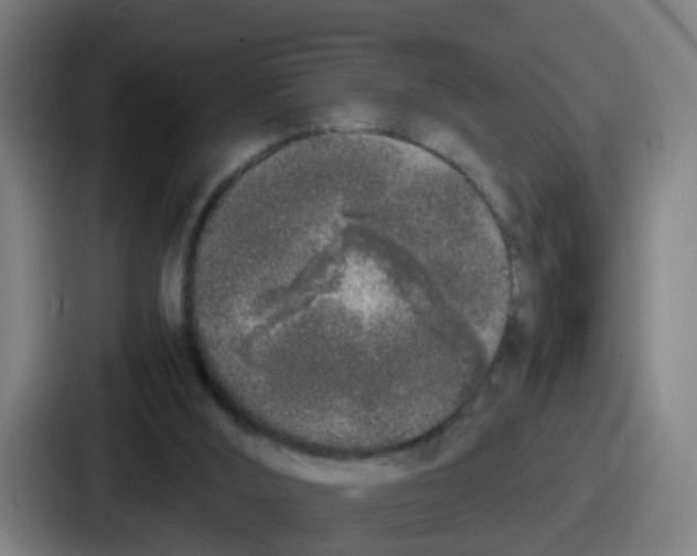 X0000086910012200705141711