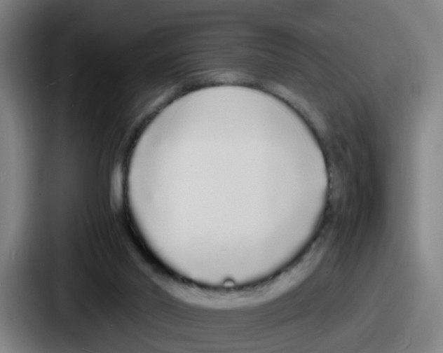 X0000086910014200705141711