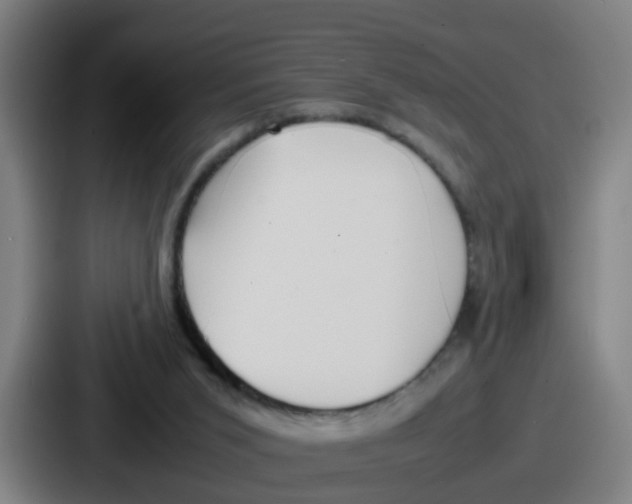 X0000086910015200705141711