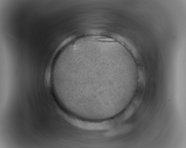 X0000086910016200705141711