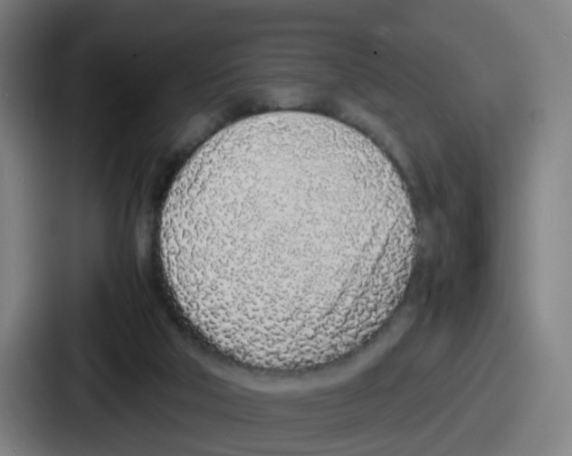 X0000086910018200705141711