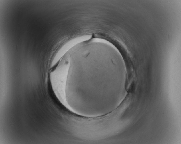 X0000086910019200705141711