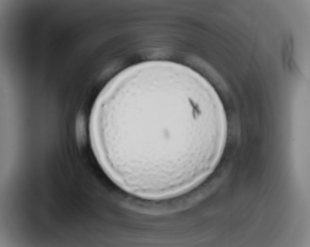 X0000086910022200705141711