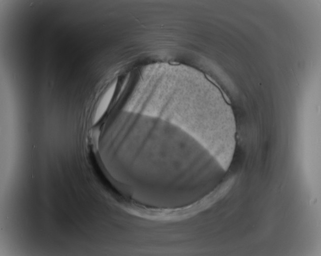 X0000086910023200705141711