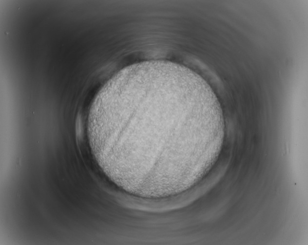 X0000086910026200705141711