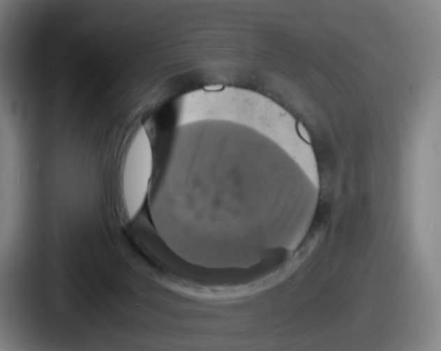 X0000086910027200705141711