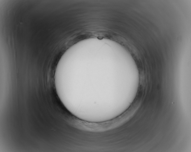 X0000086910030200705141711