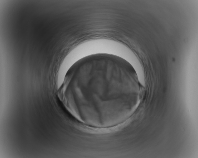 X0000086910031200705141711