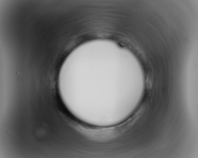 X0000086910032200705141711