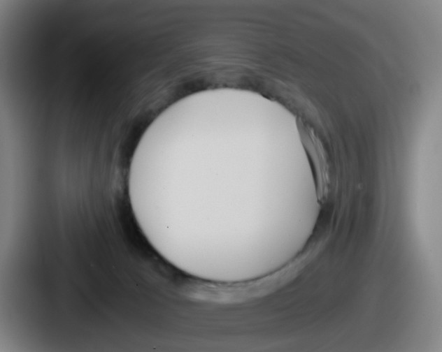 X0000086910033200705141711