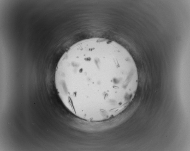 X0000086910034200705141711