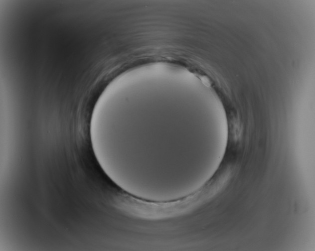 X0000086910035200705141711