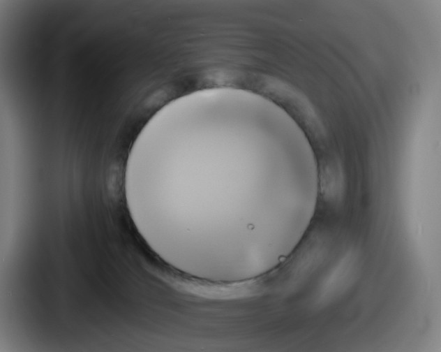 X0000086910036200705141711